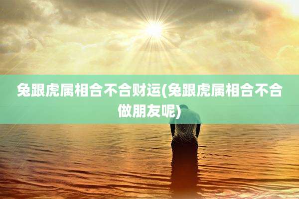 兔跟虎属相合不合财运(兔跟虎属相合不合做朋友呢)