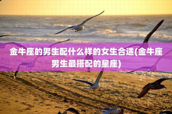 金牛座的男生配什么样的女生合适(金牛座男生最搭配的星座)