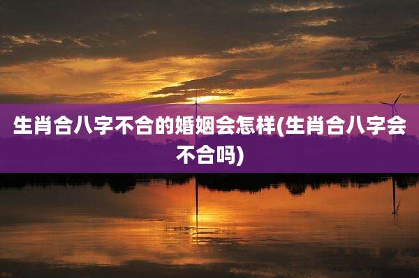 生肖合八字不合的婚姻会怎样(生肖合八字会不合吗)