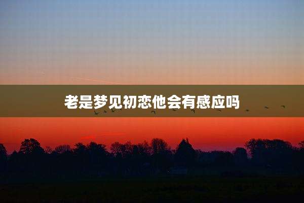 老是梦见初恋他会有感应吗