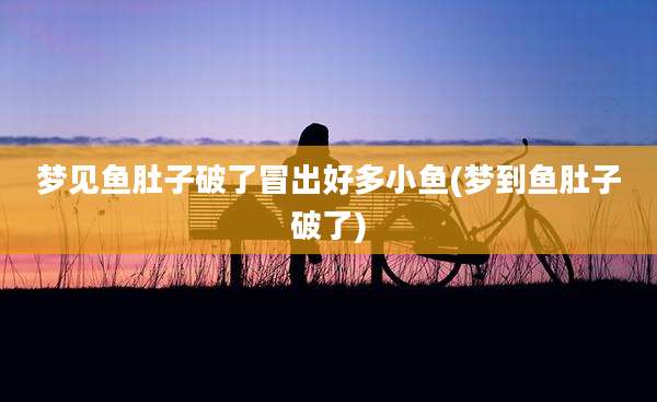 梦见鱼肚子破了冒出好多小鱼(梦到鱼肚子破了)