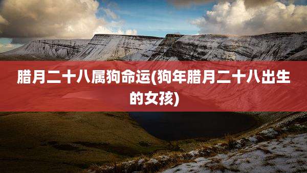 腊月二十八属狗命运(狗年腊月二十八出生的女孩)