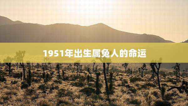 1951年出生属兔人的命运