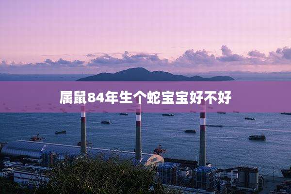 属鼠84年生个蛇宝宝好不好