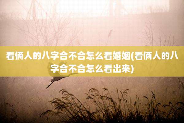 看俩人的八字合不合怎么看婚姻(看俩人的八字合不合怎么看出来)
