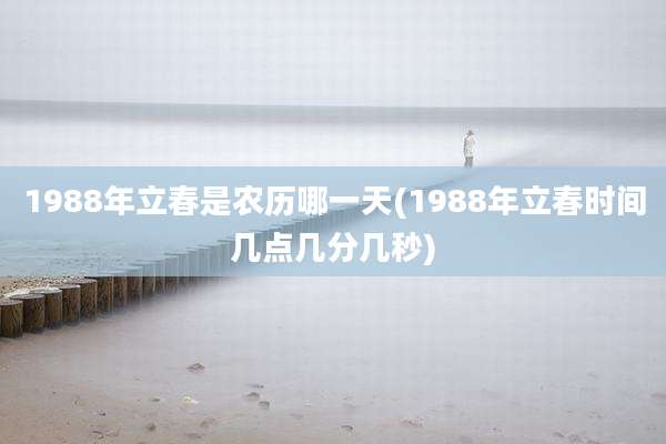 1988年立春是农历哪一天(1988年立春时间几点几分几秒)