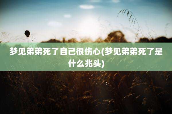 梦见弟弟死了自己很伤心(梦见弟弟死了是什么兆头)
