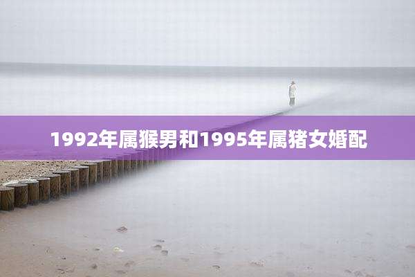 1992年属猴男和1995年属猪女婚配