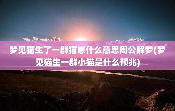 梦见猫生了一群猫崽什么意思周公解梦(梦见猫生一群小猫是什么预兆)