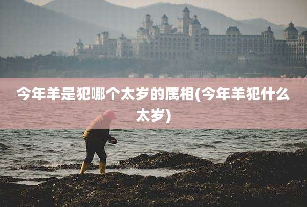今年羊是犯哪个太岁的属相(今年羊犯什么太岁)