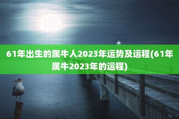 61年出生的属牛人2023年运势及运程(61年属牛2023年的运程)