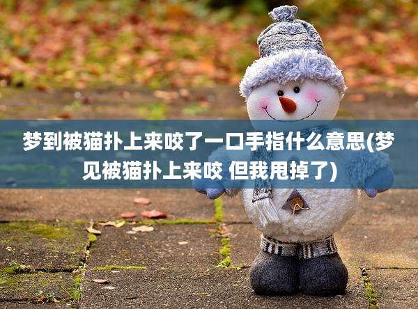 梦到被猫扑上来咬了一口手指什么意思(梦见被猫扑上来咬 但我甩掉了)