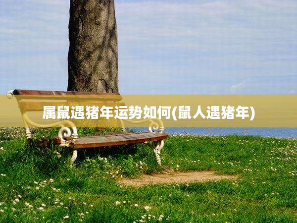 属鼠遇猪年运势如何(鼠人遇猪年)