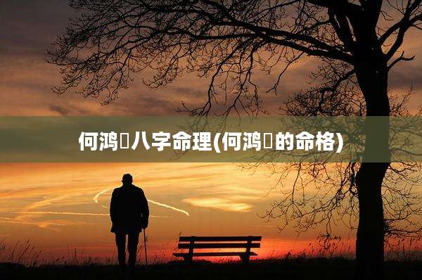 何鸿燊八字命理(何鸿燊的命格)