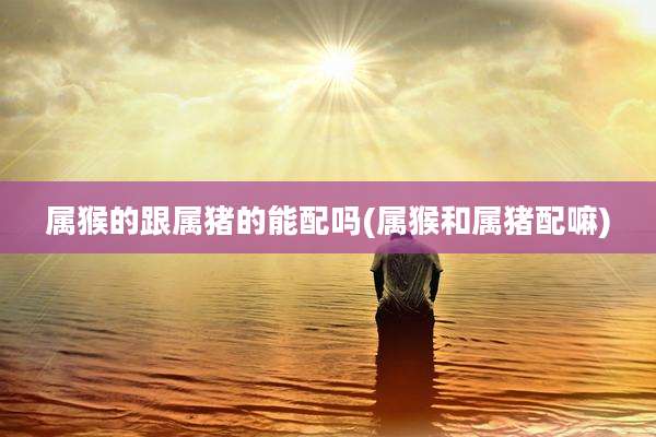 属猴的跟属猪的能配吗(属猴和属猪配嘛)