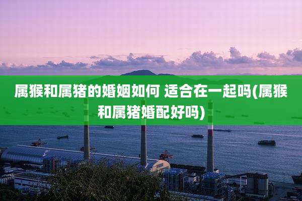 属猴和属猪的婚姻如何 适合在一起吗(属猴和属猪婚配好吗)