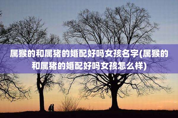 属猴的和属猪的婚配好吗女孩名字(属猴的和属猪的婚配好吗女孩怎么样)