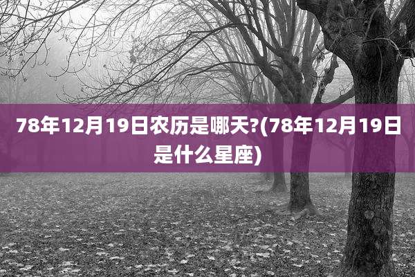 78年12月19日农历是哪天?(78年12月19日是什么星座)
