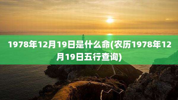 1978年12月19日是什么命(农历1978年12月19日五行查询)