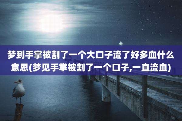 梦到手掌被割了一个大口子流了好多血什么意思(梦见手掌被割了一个口子,一直流血)