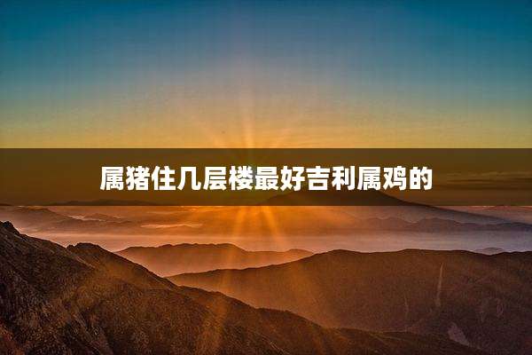 属猪住几层楼最好吉利属鸡的