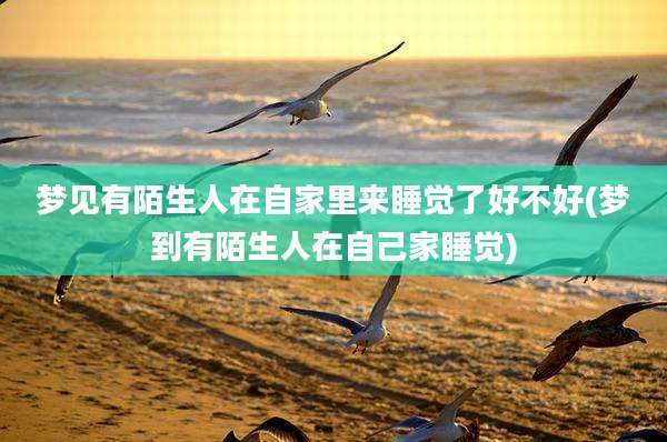 梦见有陌生人在自家里来睡觉了好不好(梦到有陌生人在自己家睡觉)