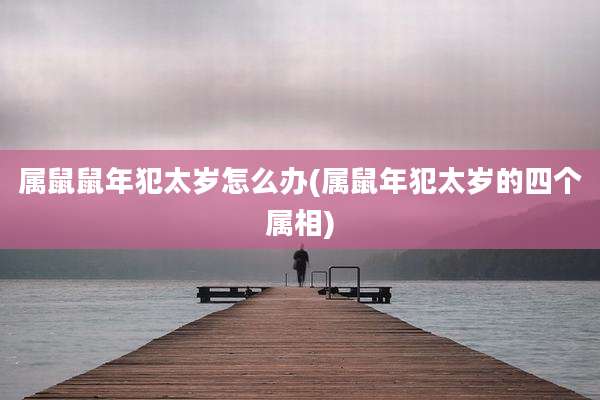 属鼠鼠年犯太岁怎么办(属鼠年犯太岁的四个属相)