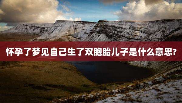 怀孕了梦见自己生了双胞胎儿子是什么意思?