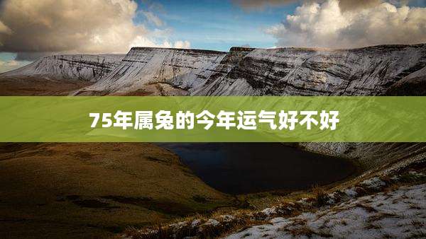 75年属兔的今年运气好不好