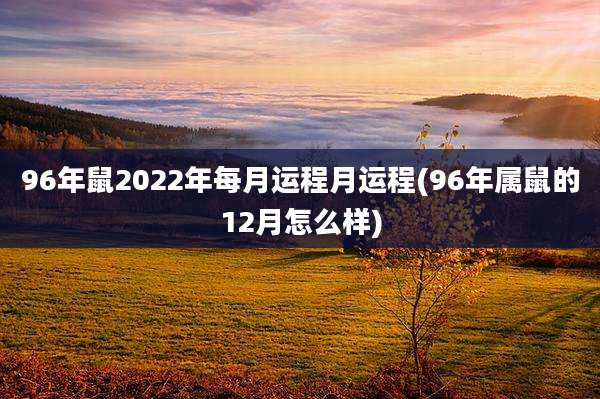 96年鼠2022年每月运程月运程(96年属鼠的12月怎么样)