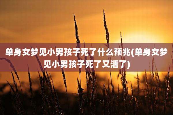 单身女梦见小男孩子死了什么预兆(单身女梦见小男孩子死了又活了)