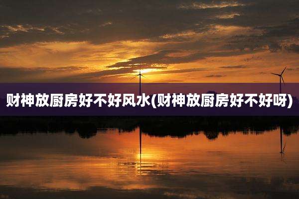 财神放厨房好不好风水(财神放厨房好不好呀)