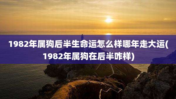 1982年属狗后半生命运怎么样哪年走大运(1982年属狗在后半咋样)