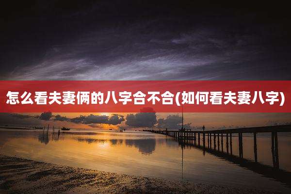 怎么看夫妻俩的八字合不合(如何看夫妻八字)