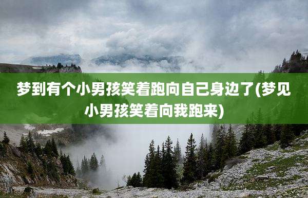 梦到有个小男孩笑着跑向自己身边了(梦见小男孩笑着向我跑来)