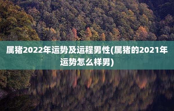 属猪2022年运势及运程男性(属猪的2021年运势怎么样男)