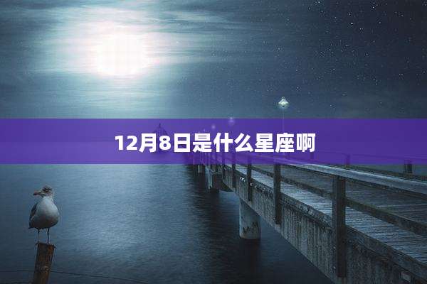 12月8日是什么星座啊