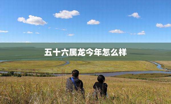 五十六属龙今年怎么样