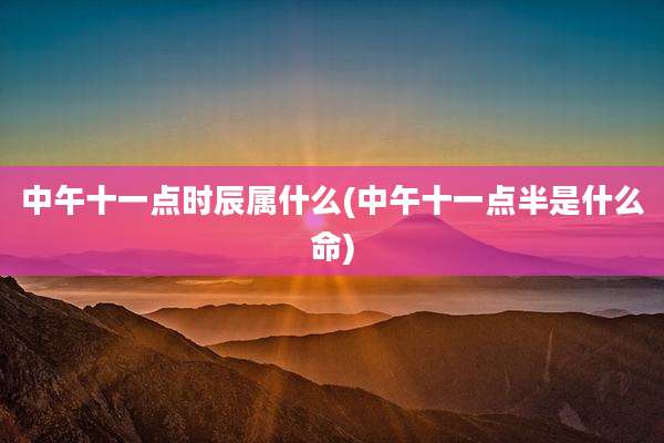 中午十一点时辰属什么(中午十一点半是什么命)
