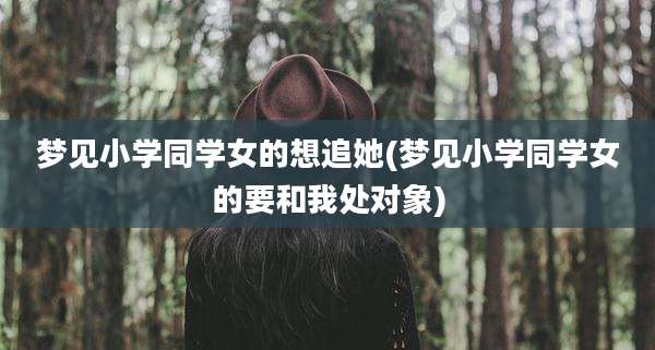 梦见小学同学女的想追她(梦见小学同学女的要和我处对象)