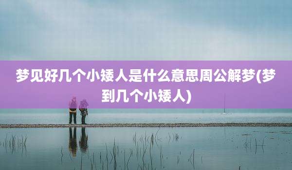 梦见好几个小矮人是什么意思周公解梦(梦到几个小矮人)