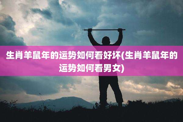 生肖羊鼠年的运势如何看好坏(生肖羊鼠年的运势如何看男女)