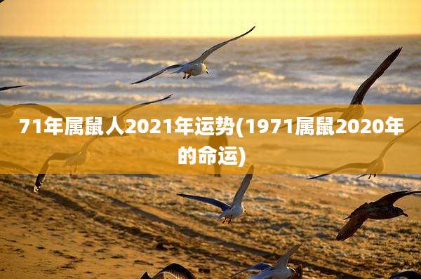 71年属鼠人2021年运势(1971属鼠2020年的命运)