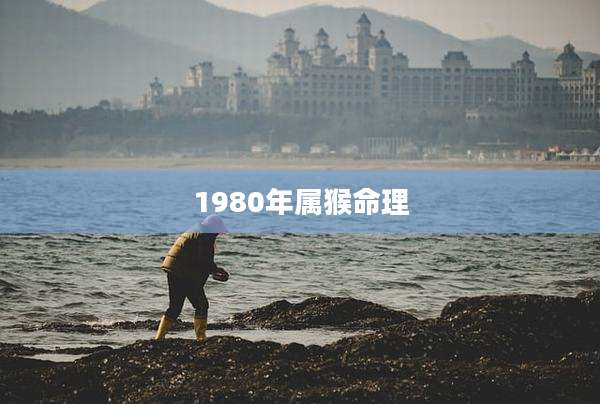 1980年属猴命理