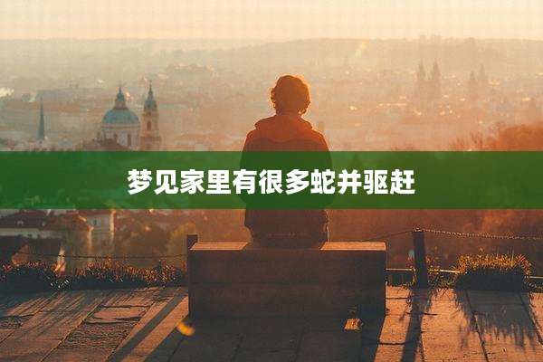 梦见家里有很多蛇并驱赶