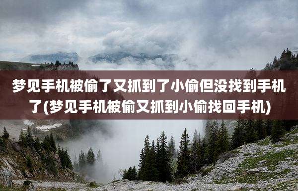 梦见手机被偷了又抓到了小偷但没找到手机了(梦见手机被偷又抓到小偷找回手机)
