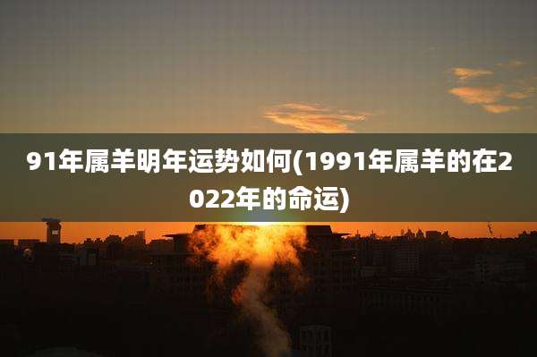 91年属羊明年运势如何(1991年属羊的在2022年的命运)