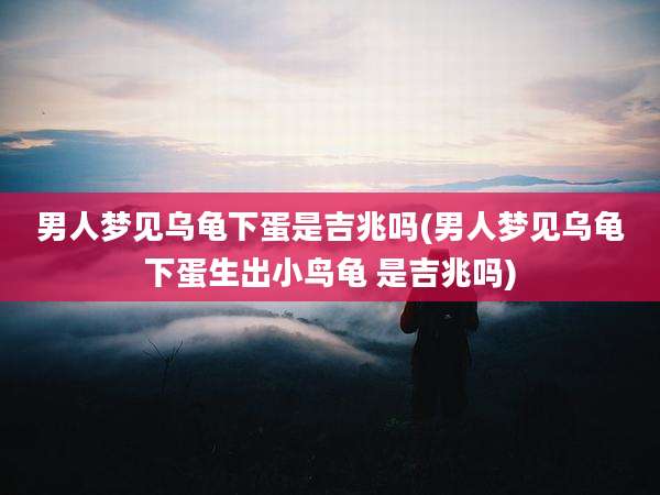 男人梦见乌龟下蛋是吉兆吗(男人梦见乌龟下蛋生出小鸟龟 是吉兆吗)