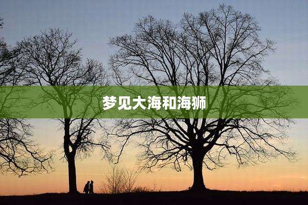 梦见大海和海狮