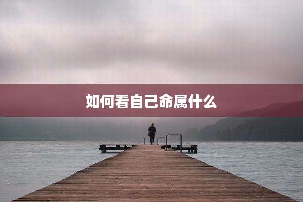 如何看自己命属什么